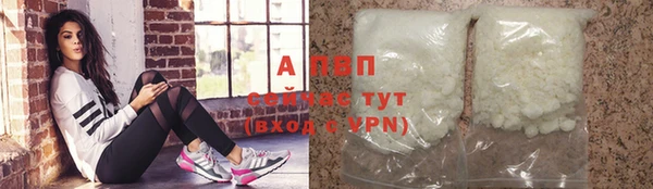 дживик Белокуриха