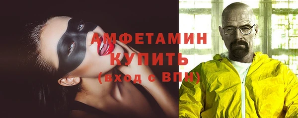 дживик Белокуриха