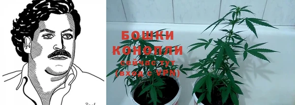 дживик Белокуриха