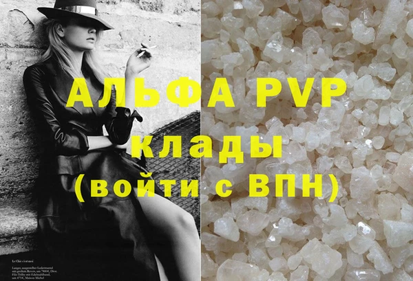 дживик Белокуриха